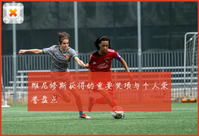 维尼修斯获得的重要奖项与个人荣誉盘点